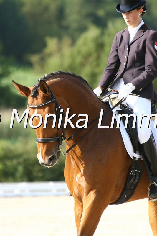 109M8936_Witana_Dressur Mxx_Youngster Cup.JPG